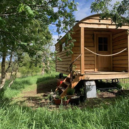 Birkenshaw - Beautiful Shepherd'S Hut In The Highlands. Hotell Dornoch Eksteriør bilde