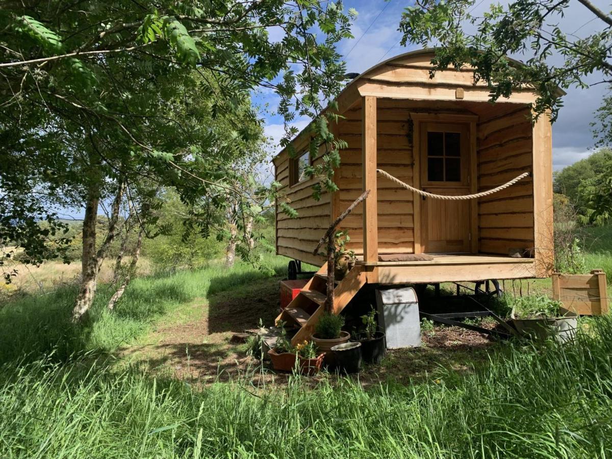 Birkenshaw - Beautiful Shepherd'S Hut In The Highlands. Hotell Dornoch Eksteriør bilde