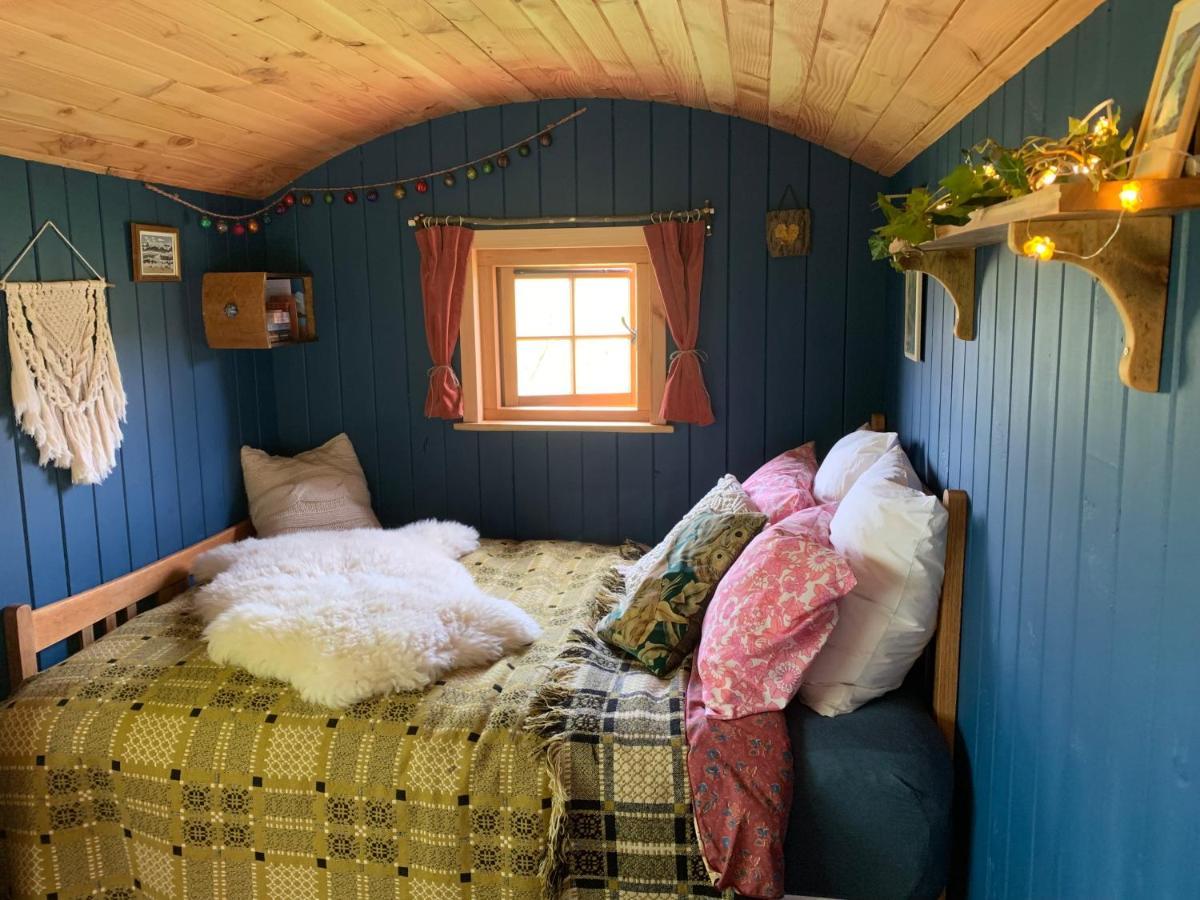 Birkenshaw - Beautiful Shepherd'S Hut In The Highlands. Hotell Dornoch Eksteriør bilde