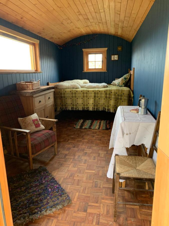 Birkenshaw - Beautiful Shepherd'S Hut In The Highlands. Hotell Dornoch Eksteriør bilde