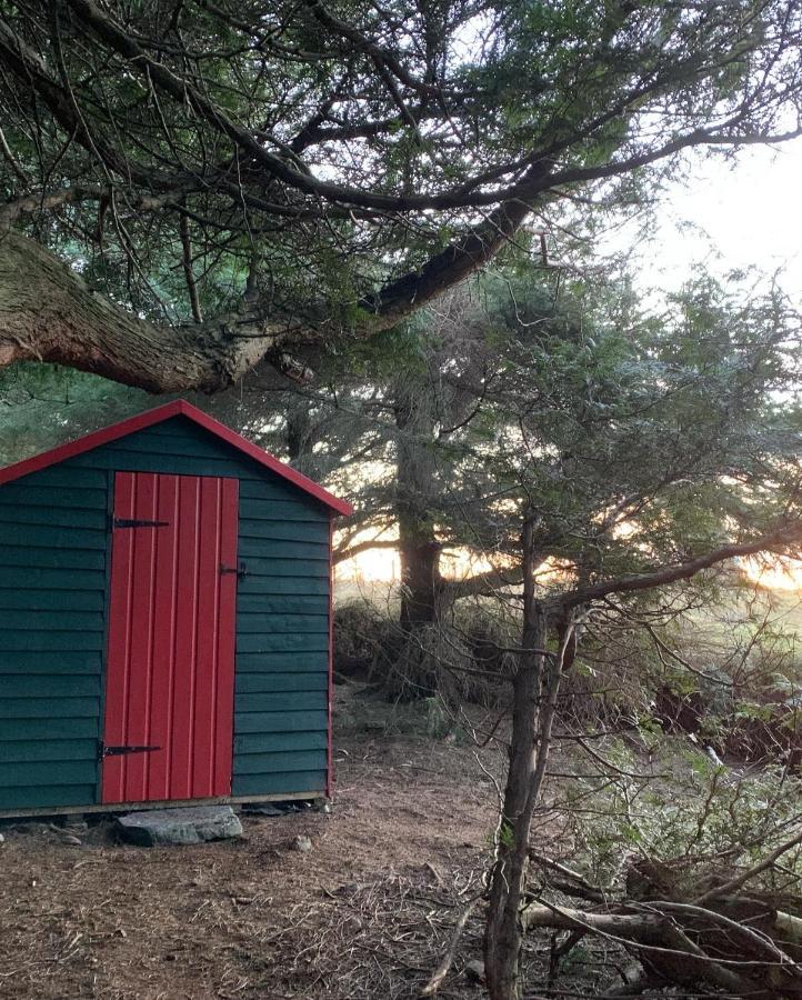 Birkenshaw - Beautiful Shepherd'S Hut In The Highlands. Hotell Dornoch Eksteriør bilde