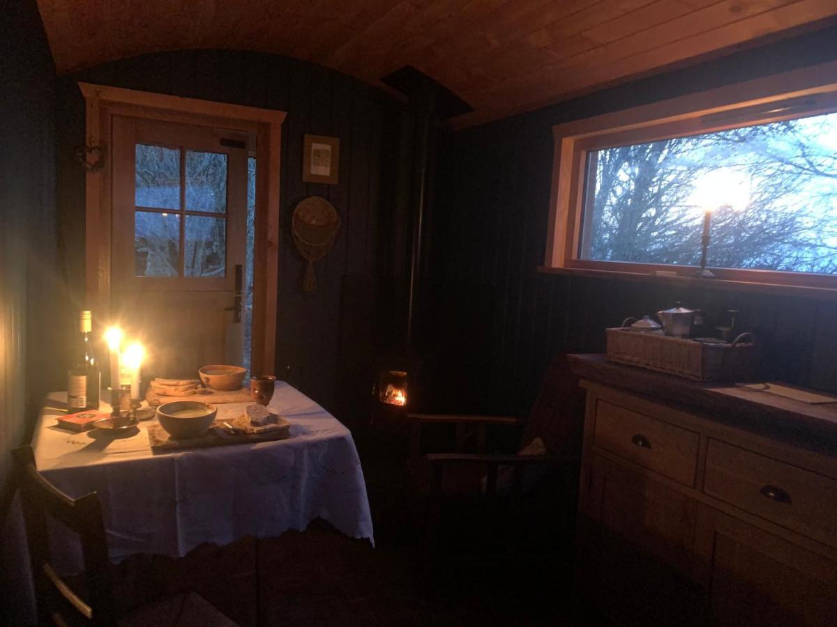 Birkenshaw - Beautiful Shepherd'S Hut In The Highlands. Hotell Dornoch Eksteriør bilde