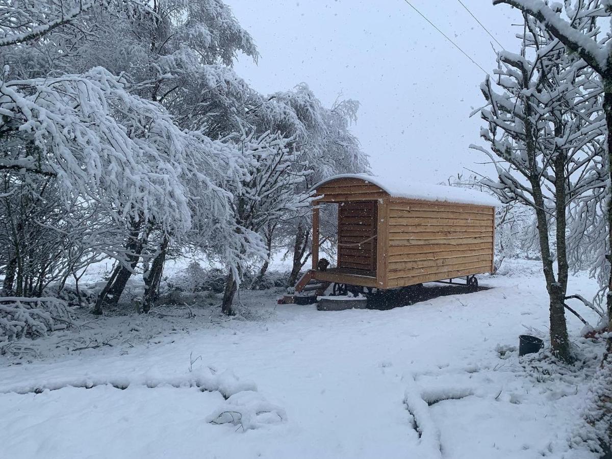 Birkenshaw - Beautiful Shepherd'S Hut In The Highlands. Hotell Dornoch Eksteriør bilde