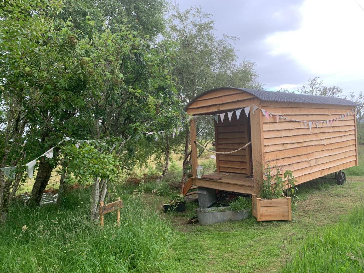 Birkenshaw - Beautiful Shepherd'S Hut In The Highlands. Hotell Dornoch Eksteriør bilde