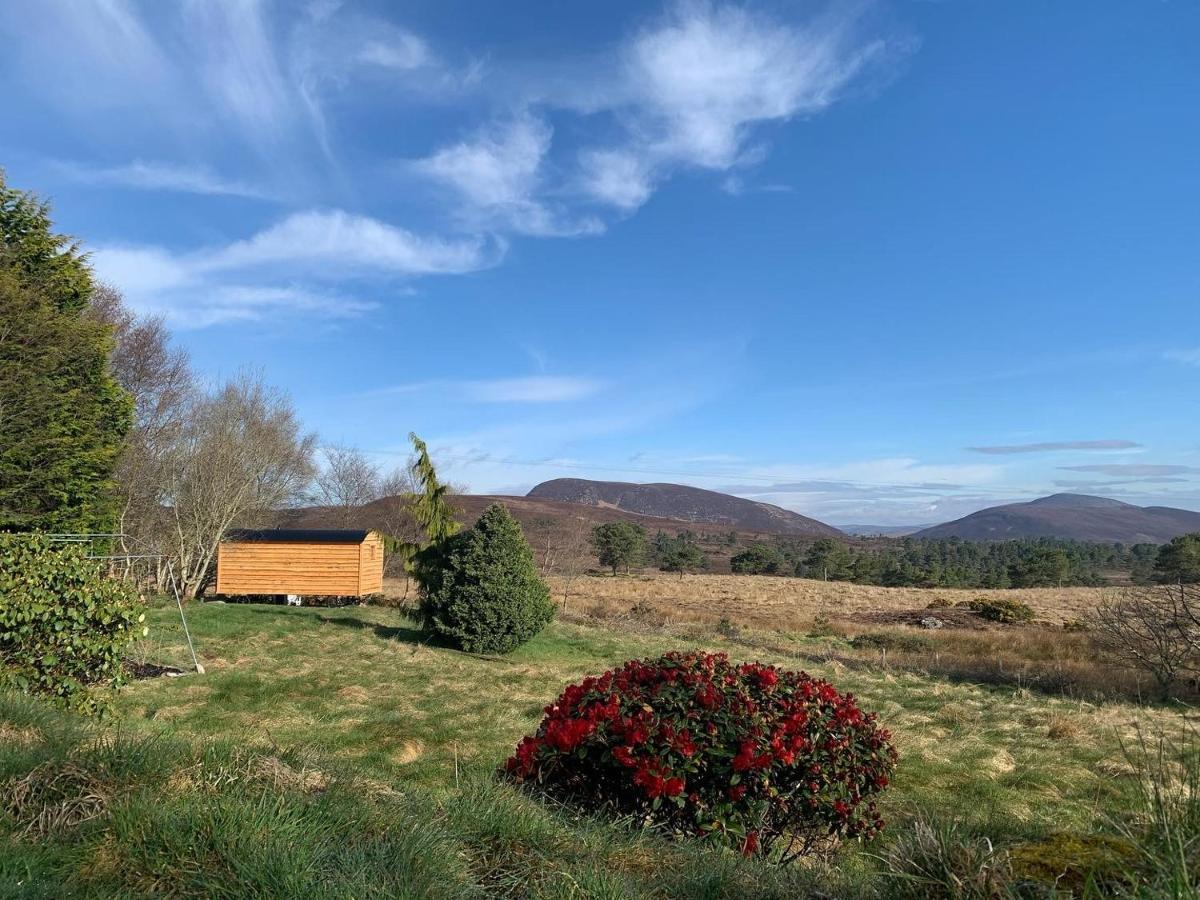 Birkenshaw - Beautiful Shepherd'S Hut In The Highlands. Hotell Dornoch Eksteriør bilde