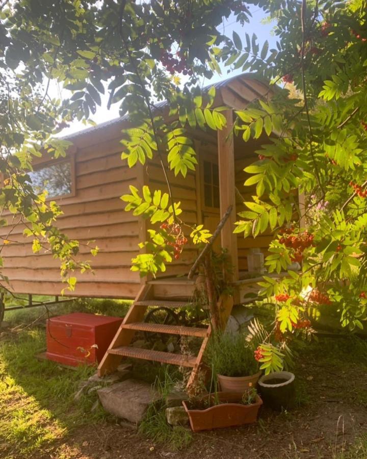 Birkenshaw - Beautiful Shepherd'S Hut In The Highlands. Hotell Dornoch Eksteriør bilde